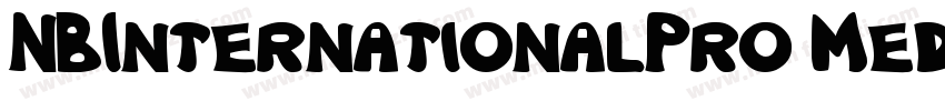 NBInternationalPro Medium字体转换